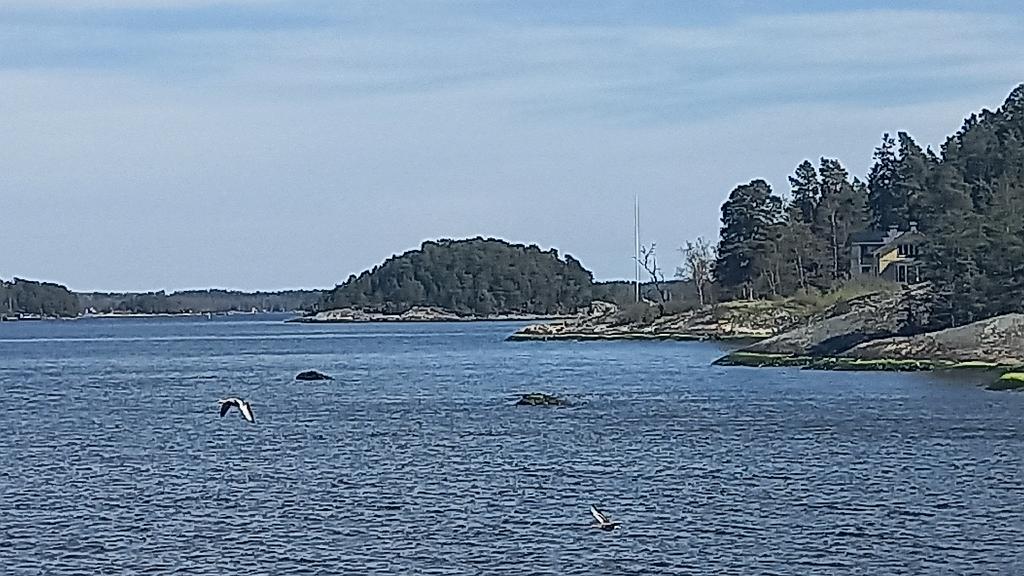 Stockholm (151)